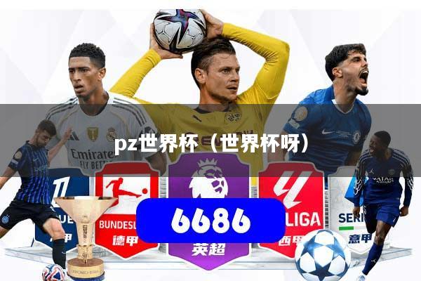 pz世界杯（世界杯呀）